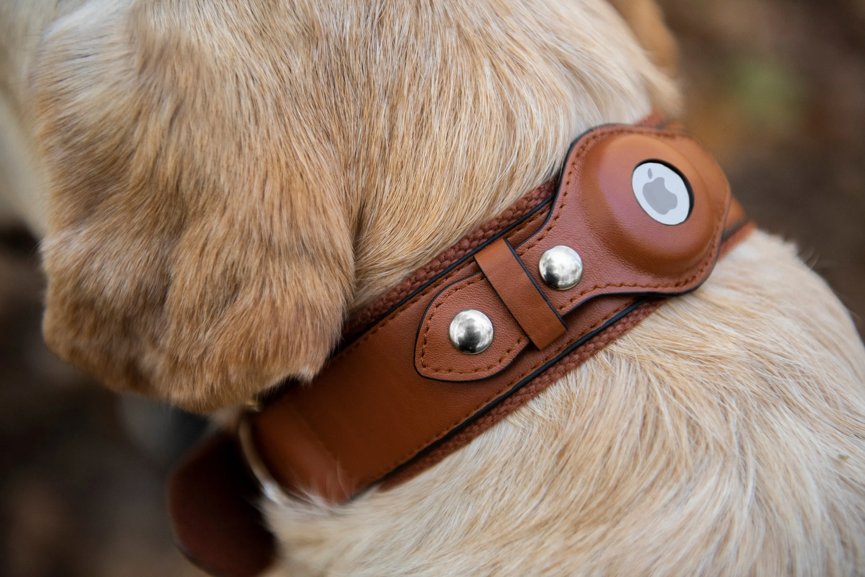 Nine Twenty Eight™ Personalized Faux Leather Apple AirTag Dog Collar