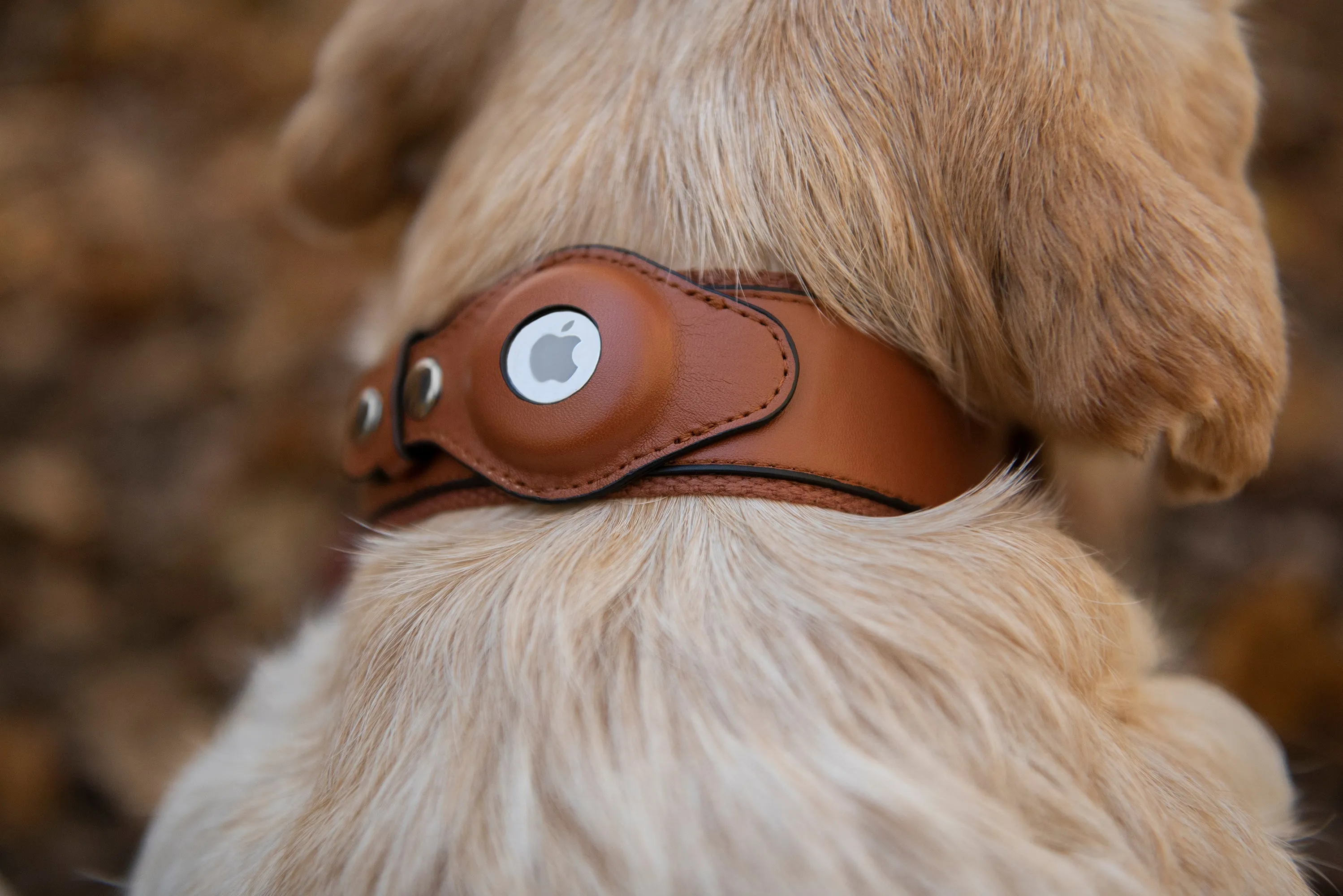 Nine Twenty Eight™ Personalized Faux Leather Apple AirTag Dog Collar